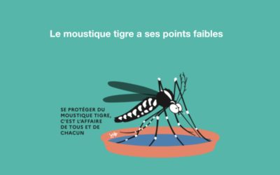 Lutter contre le moustique tigre